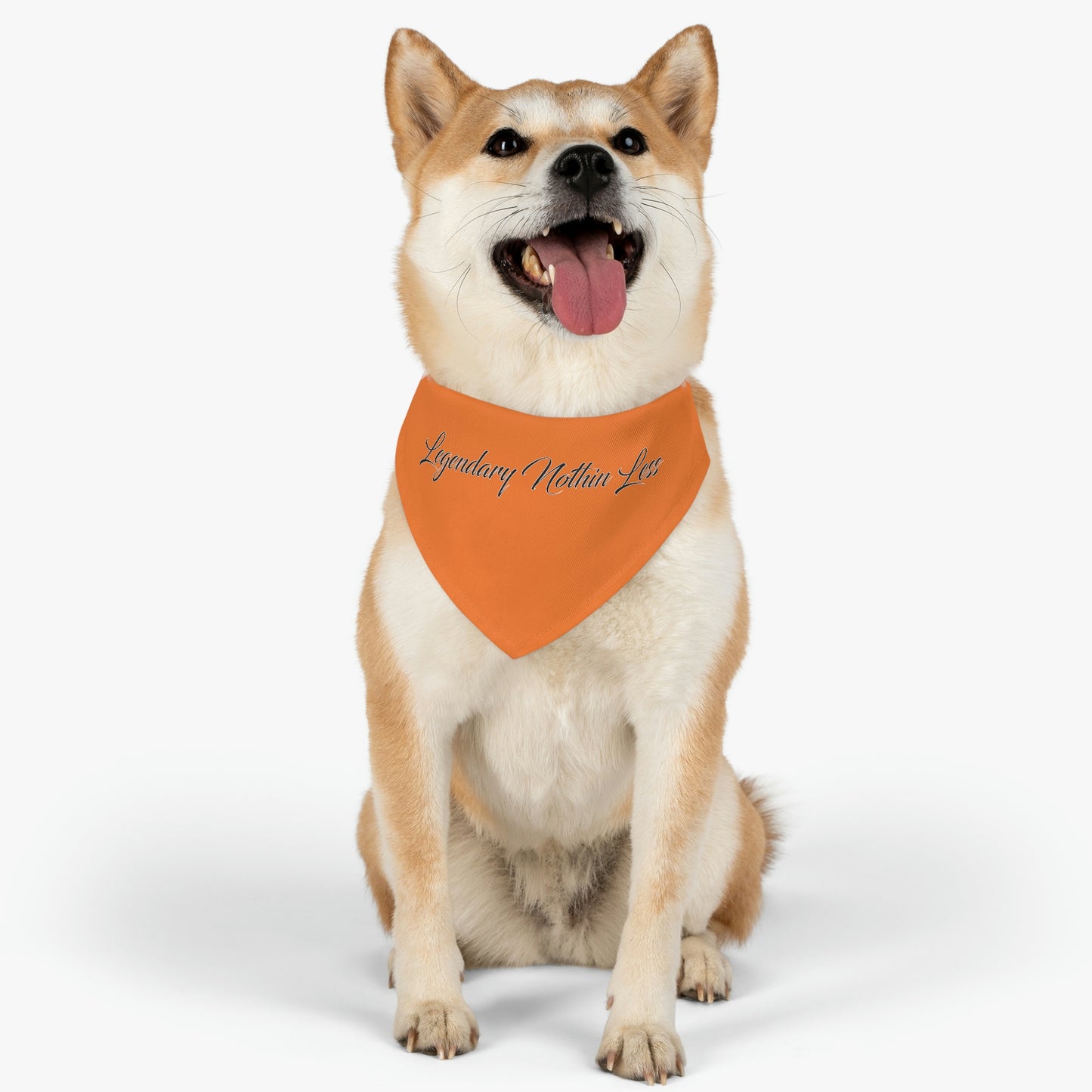 LNL Pet Bandana Collar