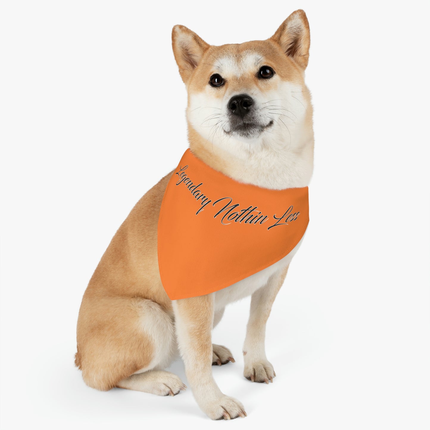 LNL Pet Bandana Collar