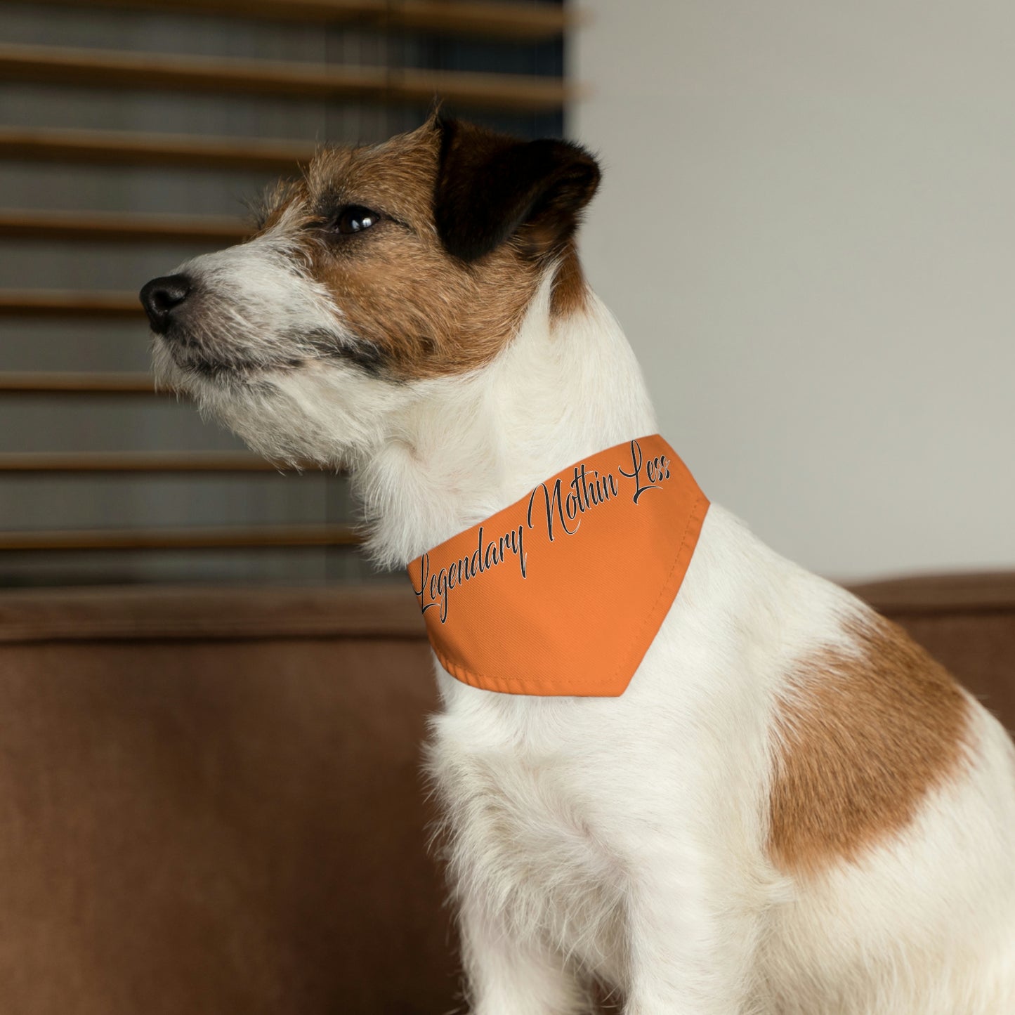 LNL Pet Bandana Collar