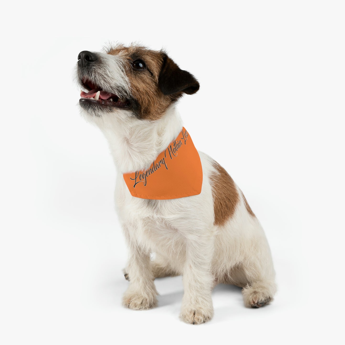 LNL Pet Bandana Collar